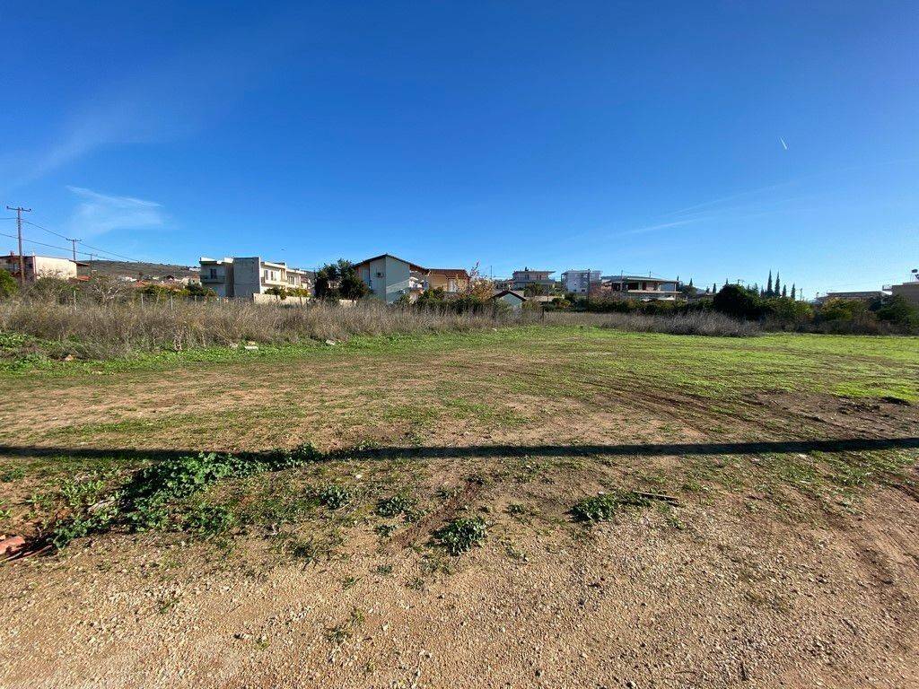 Oikopedo entos oikismoy