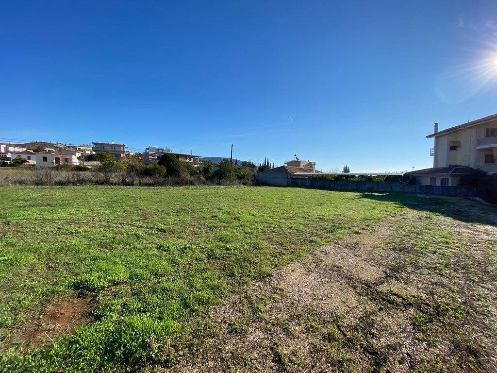 Oikopedo entos oikismoy