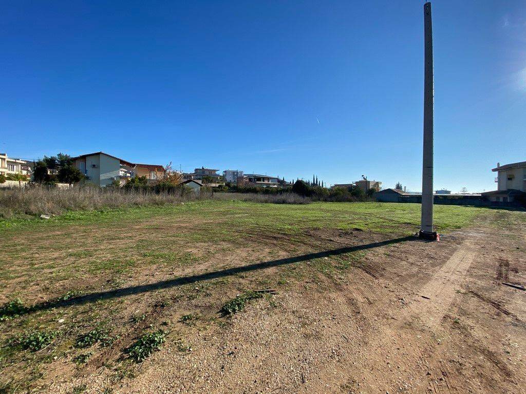 Oikopedo entos oikismoy