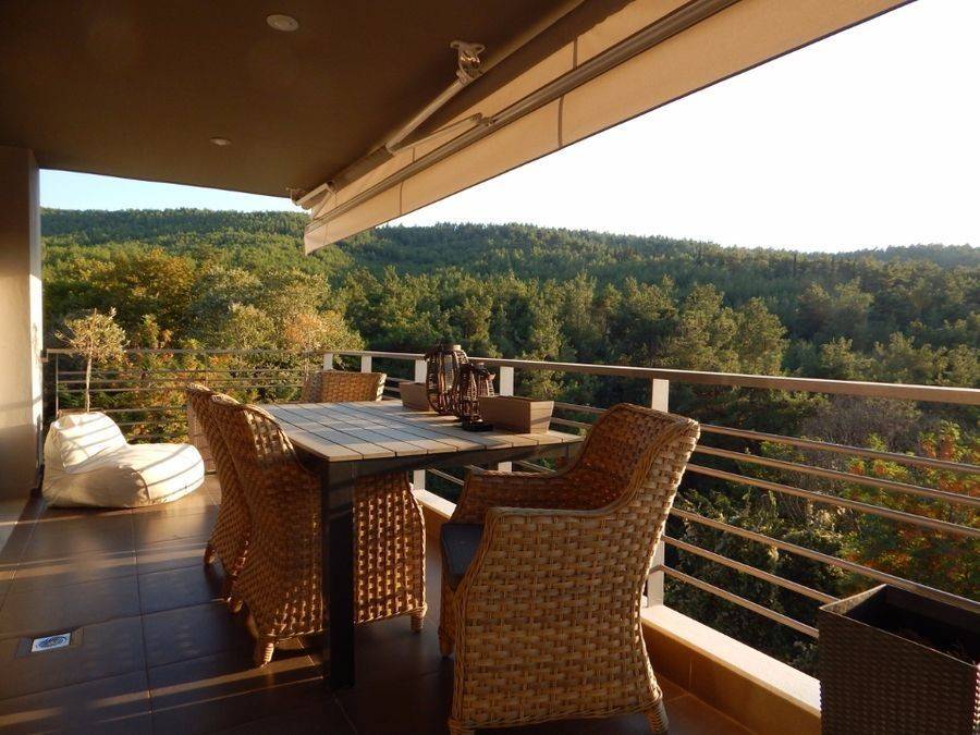 ΘΕΑ ΒΕΡΑΝΤΑ ΟΡΟΦΟΥ