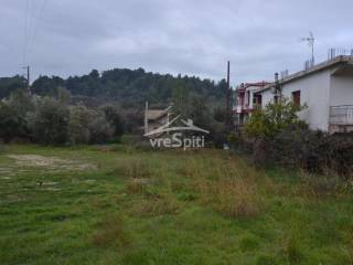 ΑΠΟΨΗ ΟΙΚΟΠΕΔΟΥ