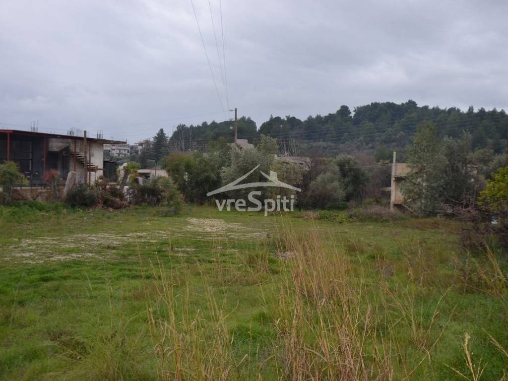 ΑΠΟΨΗ ΟΙΚΟΠΕΔΟΥ