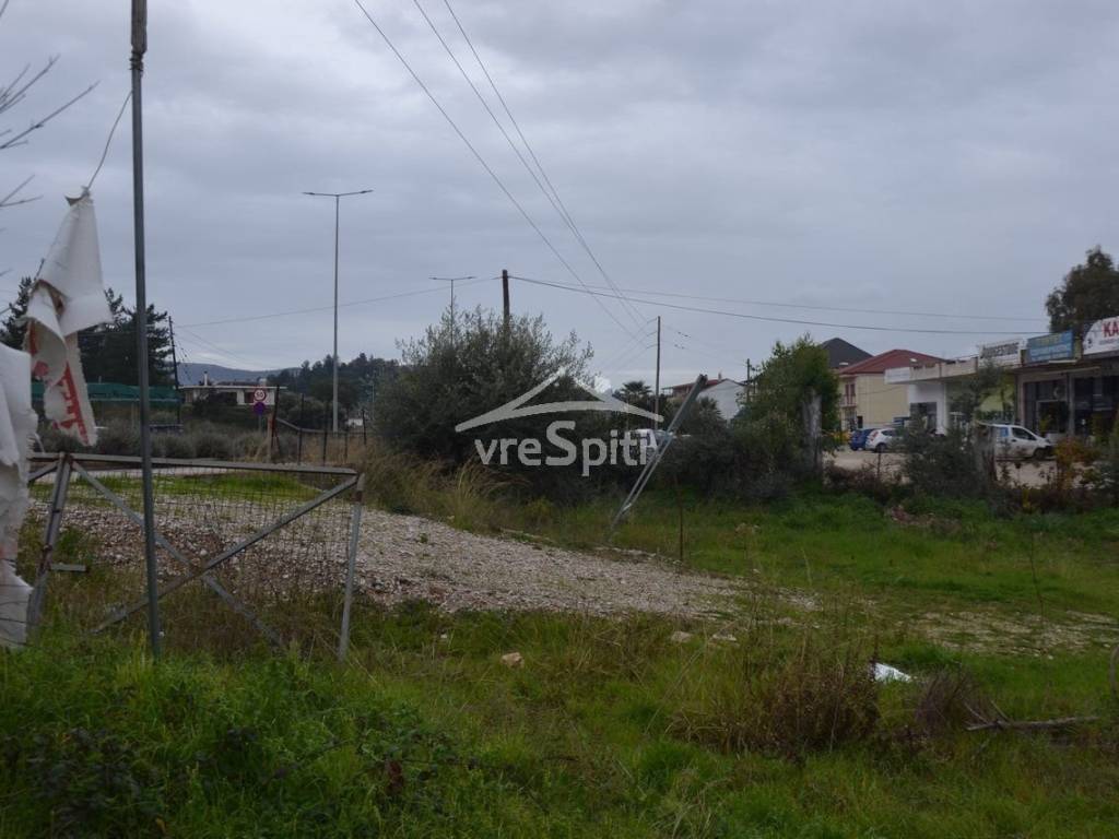 ΑΠΟΨΗ ΟΙΚΟΠΕΔΟΥ