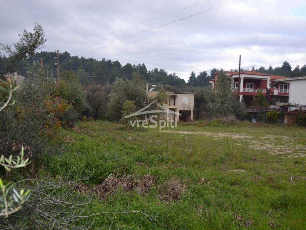 ΑΠΟΨΗ ΟΙΚΟΠΕΔΟΥ