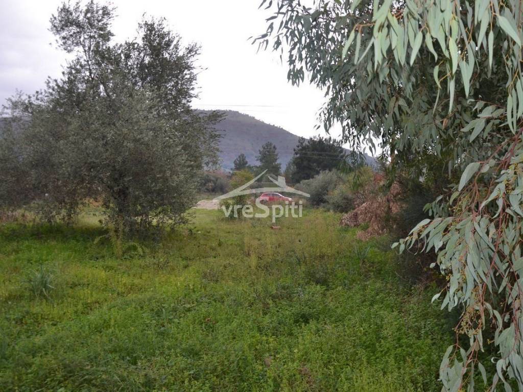 ΑΠΟΨΗ ΟΙΚΟΠΕΔΟΥ