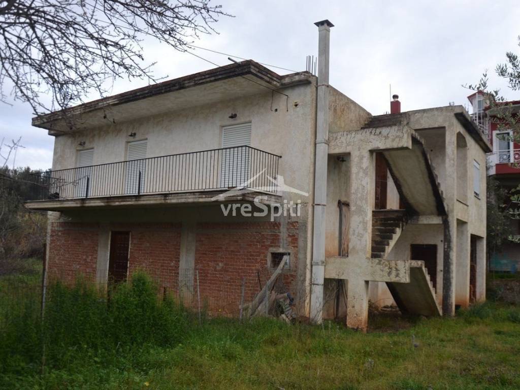 ΑΠΟΨΗ ΟΙΚΟΠΕΔΟΥ