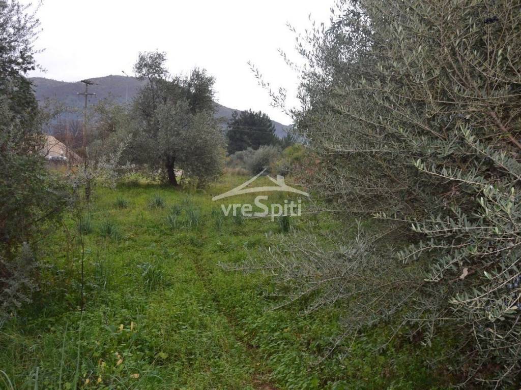 ΑΠΟΨΗ ΟΙΚΟΠΕΔΟΥ