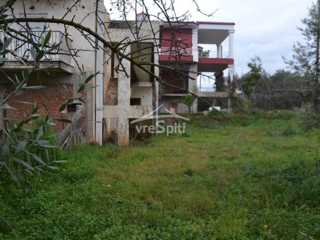 ΑΠΟΨΗ ΟΙΚΟΠΕΔΟΥ