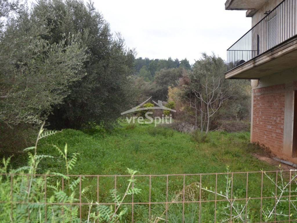 ΑΠΟΨΗ ΟΙΚΟΠΕΔΟΥ