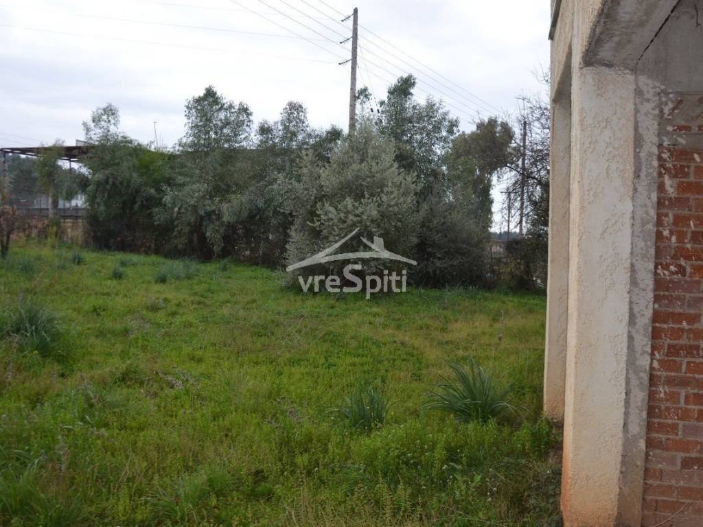 ΑΠΟΨΗ ΟΙΚΟΠΕΔΟΥ