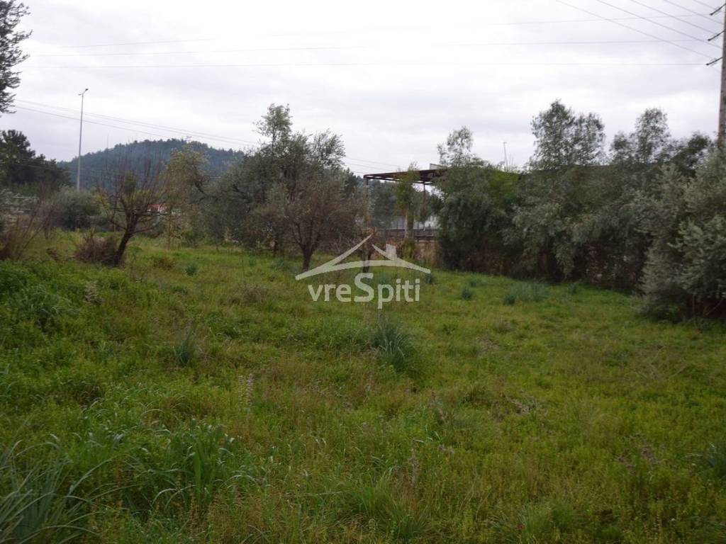 ΑΠΟΨΗ ΟΙΚΟΠΕΔΟΥ