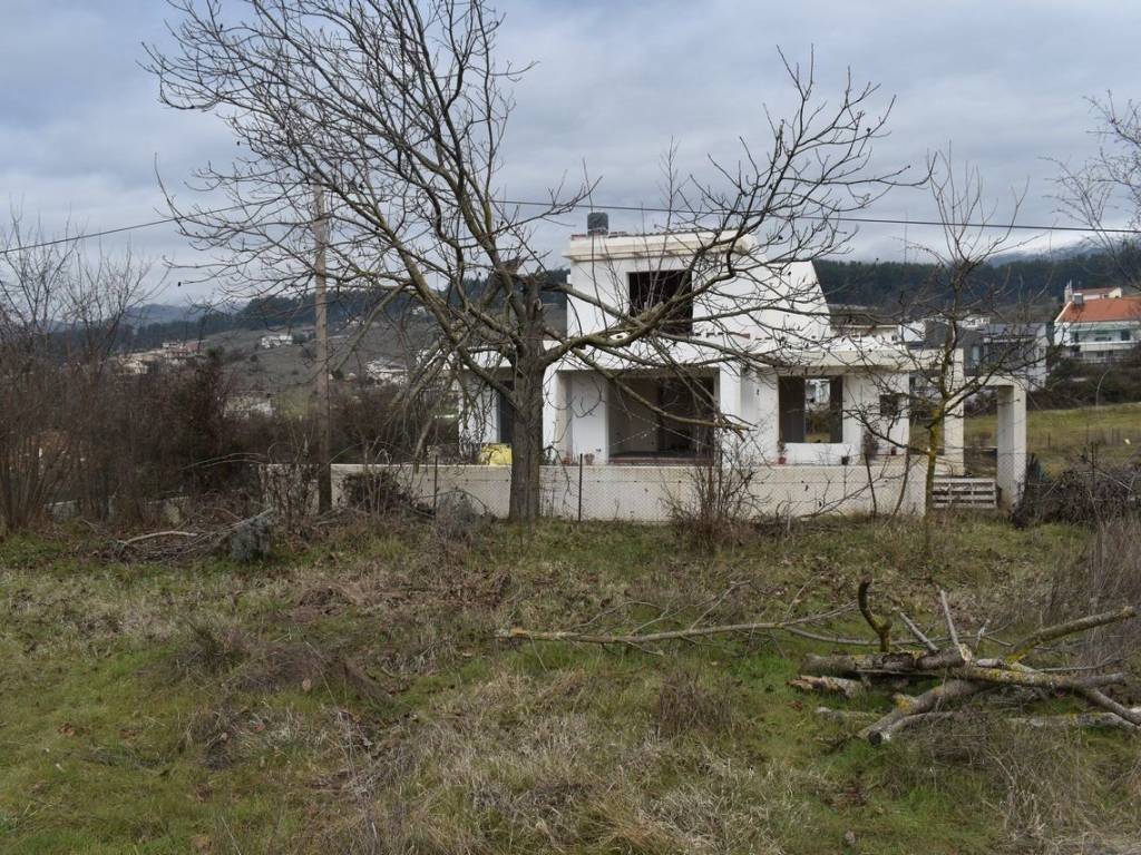 ΑΠΟΨΗ ΟΙΚΟΠΕΔΟΥ