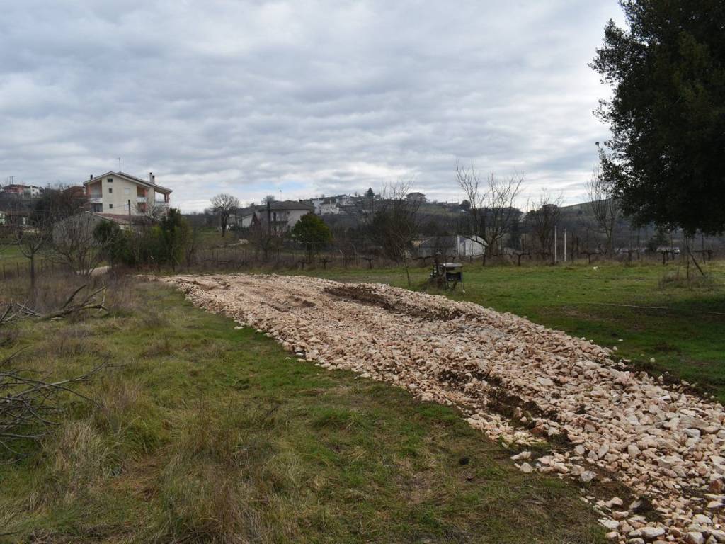 ΑΠΟΨΗ ΟΙΚΟΠΕΔΟΥ