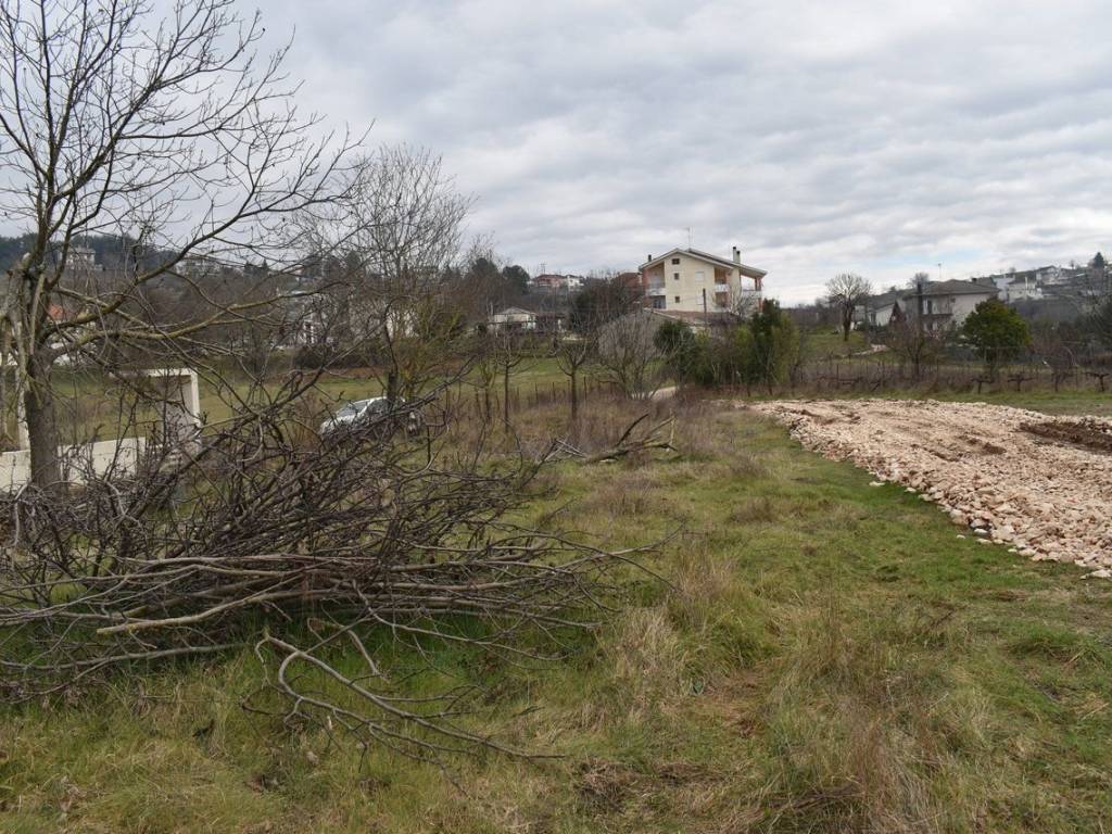 ΑΠΟΨΗ ΟΙΚΟΠΕΔΟΥ