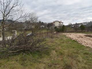 ΑΠΟΨΗ ΟΙΚΟΠΕΔΟΥ