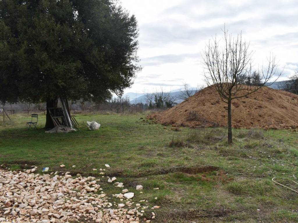 ΑΠΟΨΗ ΟΙΚΟΠΕΔΟΥ