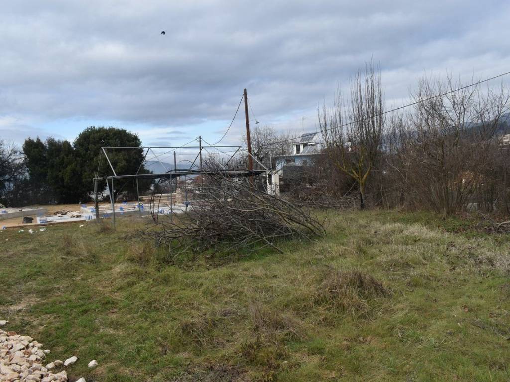 ΑΠΟΨΗ ΟΙΚΟΠΕΔΟΥ