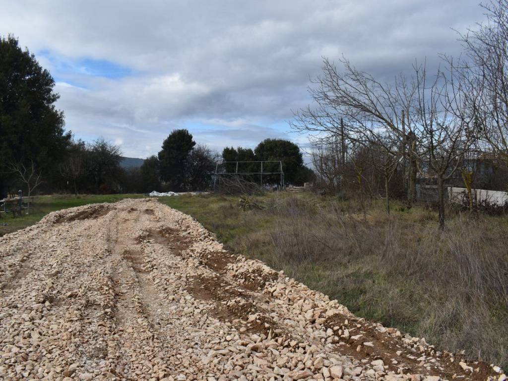 ΑΠΟΨΗ ΟΙΚΟΠΕΔΟΥ