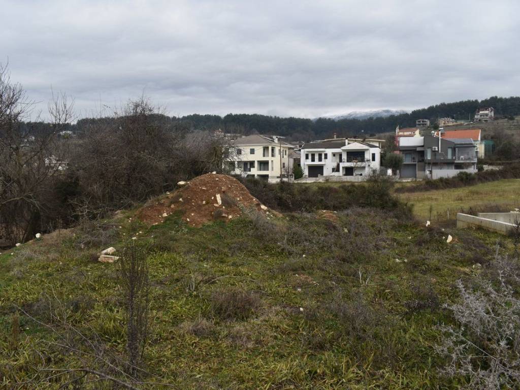 ΑΠΟΨΗ ΟΙΚΟΠΕΔΟΥ