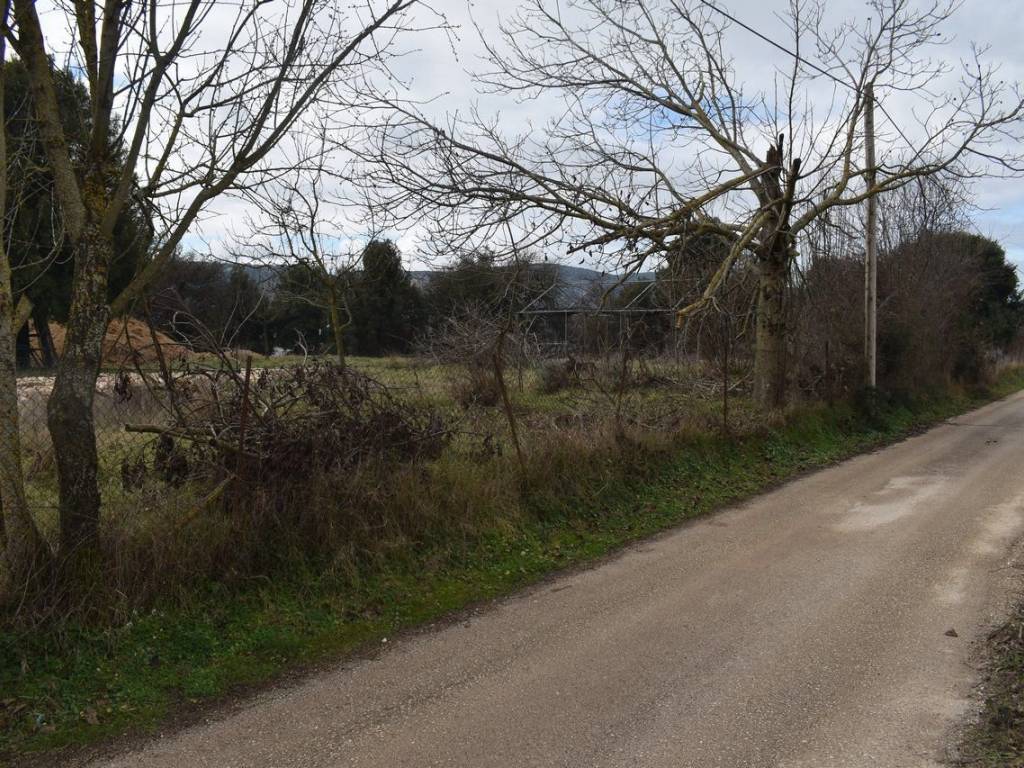 ΑΠΟΨΗ ΟΙΚΟΠΕΔΟΥ