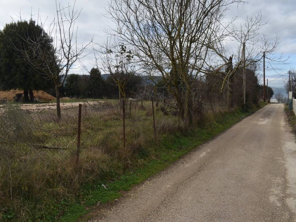 ΑΠΟΨΗ ΟΙΚΟΠΕΔΟΥ