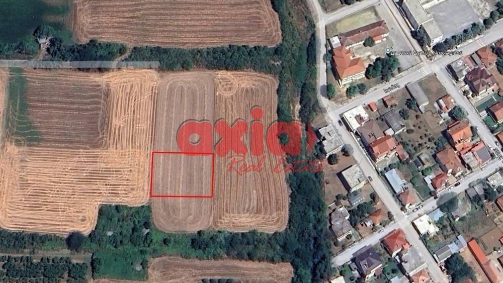 Δράμα, Νέα Αμισός