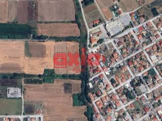 Δράμα, Νέα Αμισός