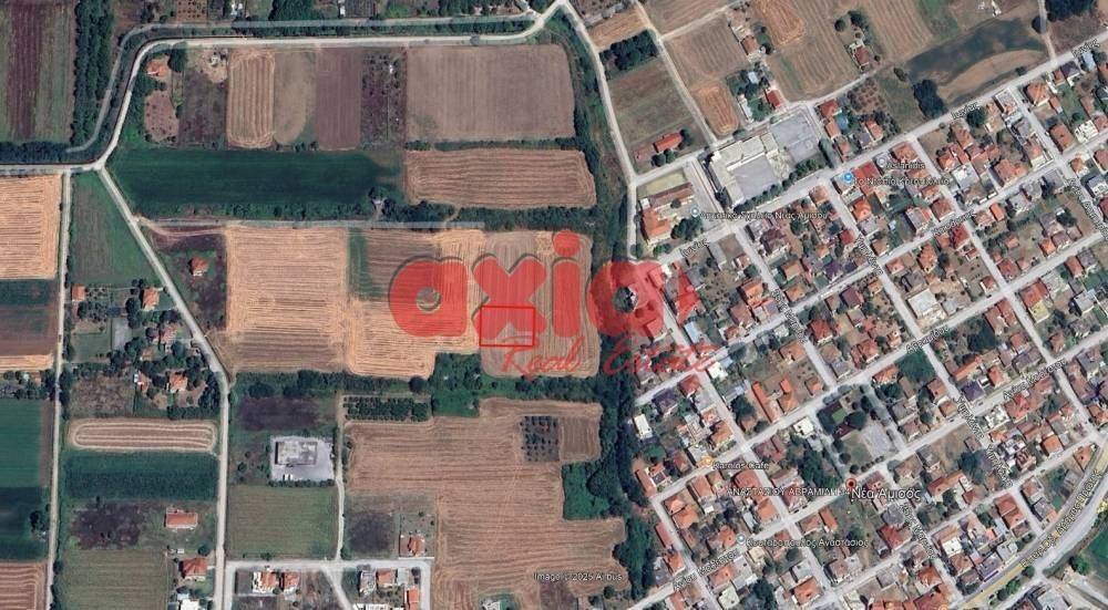 Δράμα, Νέα Αμισός