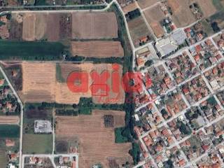 Δράμα, Νέα Αμισός