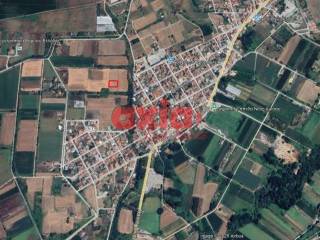 Δράμα, Νέα Αμισός