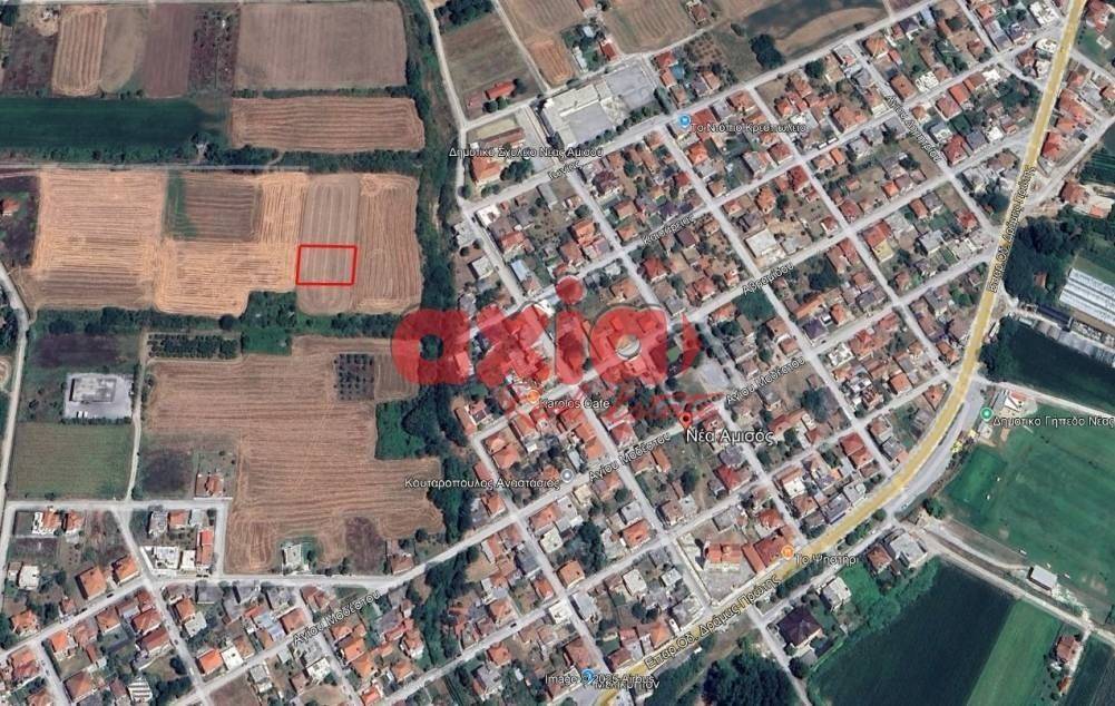 Δράμα, Νέα Αμισός