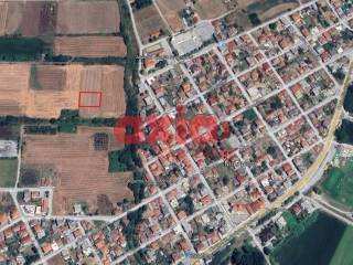 Δράμα, Νέα Αμισός