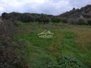 ΑΠΟΨΗ ΟΙΚΟΠΕΔΟΥ