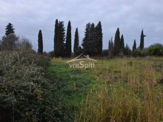 ΑΠΟΨΗ ΟΙΚΟΠΕΔΟΥ