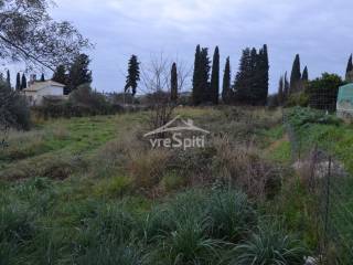 ΑΠΟΨΗ ΟΙΚΟΠΕΔΟΥ