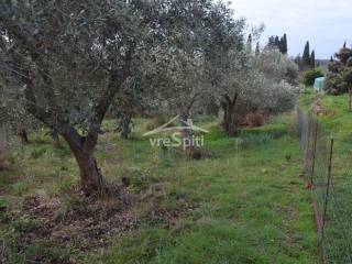 ΑΠΟΨΗ ΟΙΚΟΠΕΔΟΥ