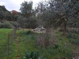 ΑΠΟΨΗ ΟΙΚΟΠΕΔΟΥ