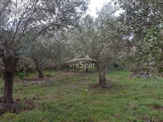 ΑΠΟΨΗ ΟΙΚΟΠΕΔΟΥ