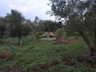 ΑΠΟΨΗ ΟΙΚΟΠΕΔΟΥ