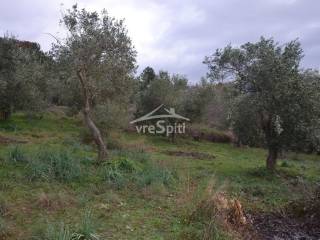 ΑΠΟΨΗ ΟΙΚΟΠΕΔΟΥ