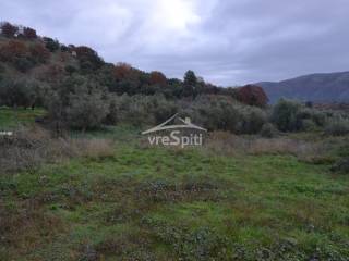 ΑΠΟΨΗ ΟΙΚΟΠΕΔΟΥ