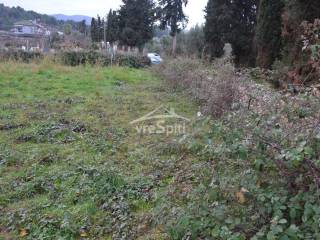 ΑΠΟΨΗ ΟΙΚΟΠΕΔΟΥ