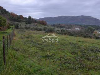 ΑΠΟΨΗ ΟΙΚΟΠΕΔΟΥ