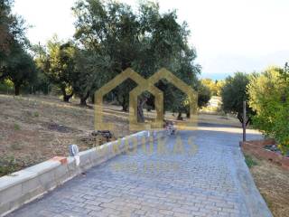 EXOTERIKA
Tel:  6947417315