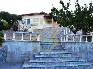 Prosopse
Tel:  6947417315