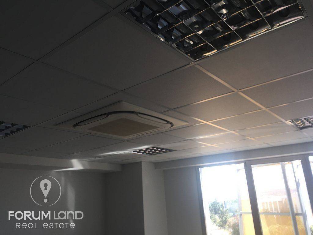 Forumland Real Estate, Επαγγελματικός χώρος