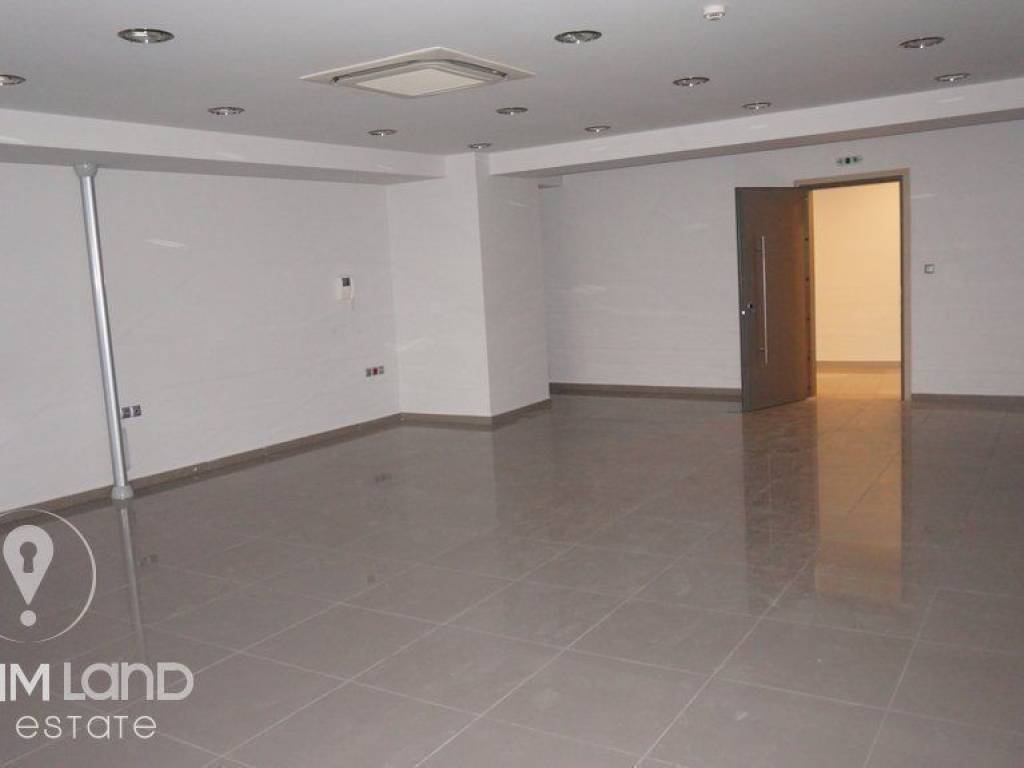 Forumland Real Estate,  Επαγγελματικός χώρος