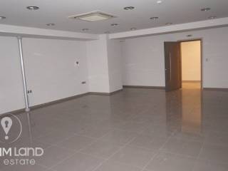 Forumland Real Estate,  Επαγγελματικός χώρος