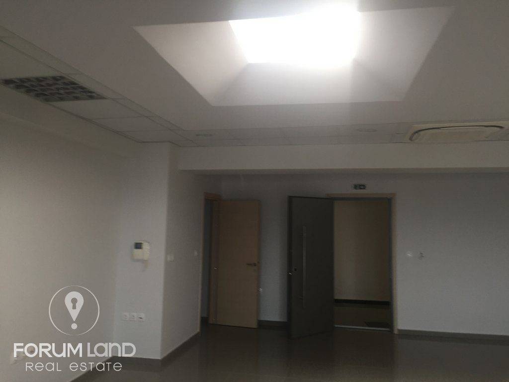 Forumland Real Estate, Επαγγελματικός χώρος