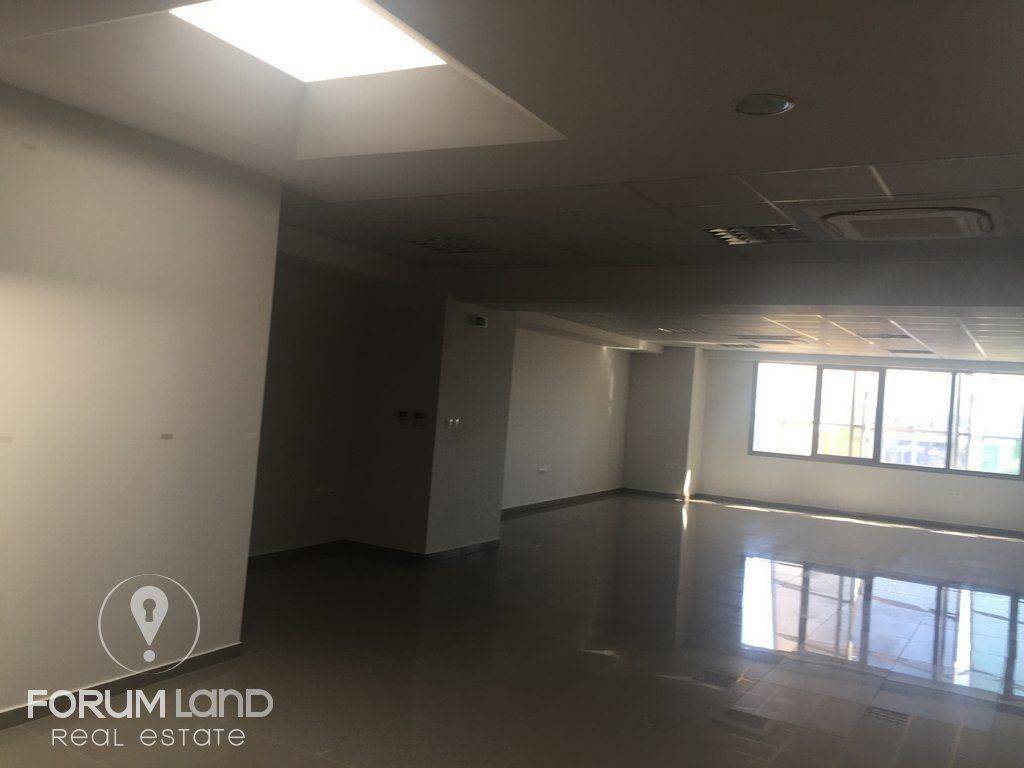 Forumland Real Estate, Επαγγελματικός χώρος